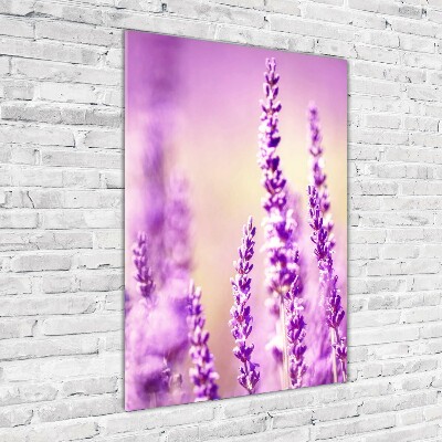 Quadro vetro verticale Lavanda
