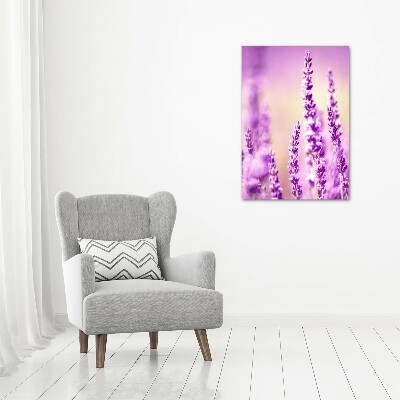 Quadro vetro verticale Lavanda