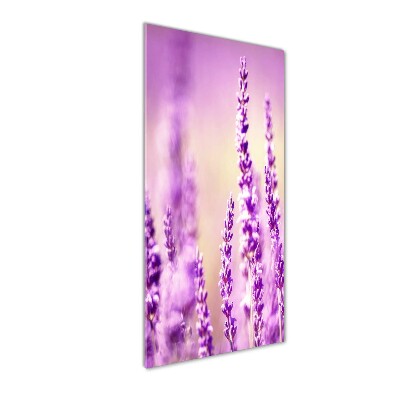 Quadro vetro verticale Lavanda