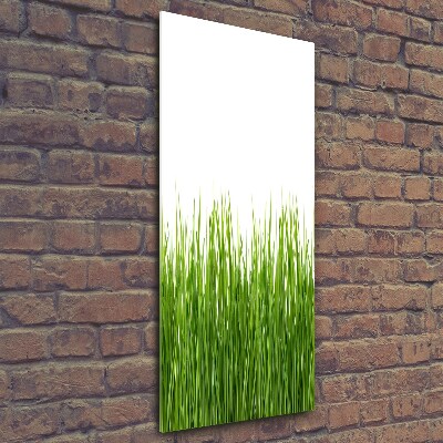 Quadro di vetro verticale Erba verde