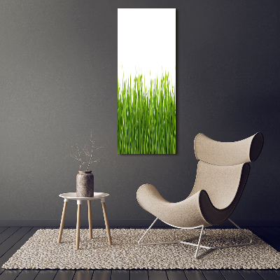 Quadro di vetro verticale Erba verde