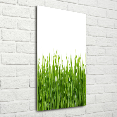 Quadro di vetro verticale Erba verde