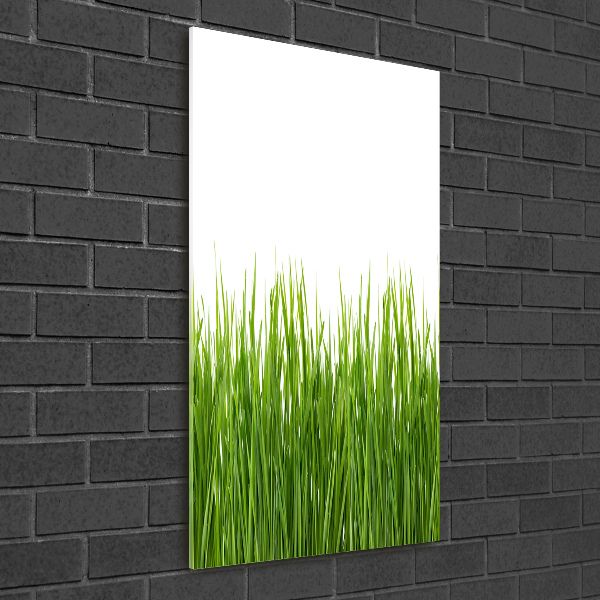 Quadro di vetro verticale Erba verde