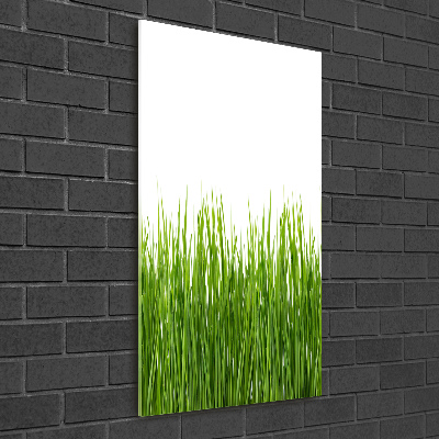 Quadro di vetro verticale Erba verde
