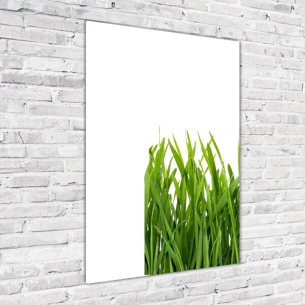 Quadro di vetro verticale Erba verde