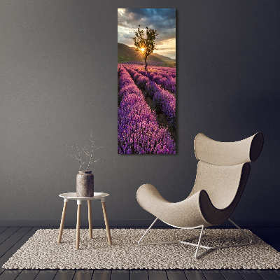 Quadro di vetro verticale Campo di lavanda