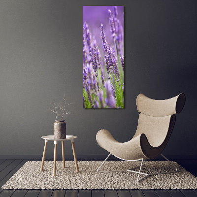 Quadro stampa su vetro verticale Campo di lavanda