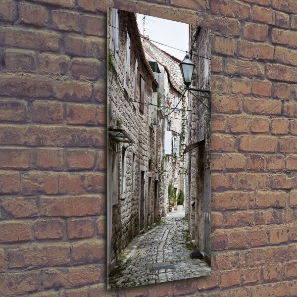Quadro di vetro verticale Via Croazia