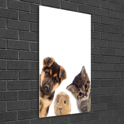 Quadro di vetro verticale Animali domestici