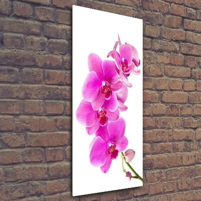 Quadro vetro verticale Orchidea rosa