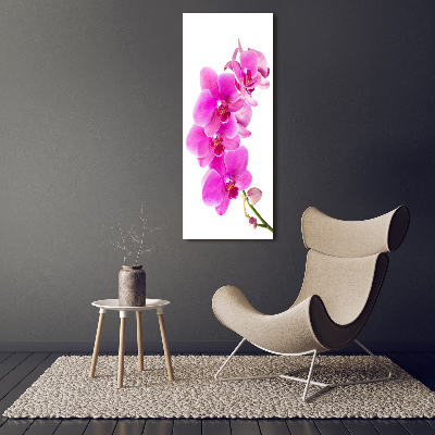 Quadro vetro verticale Orchidea rosa