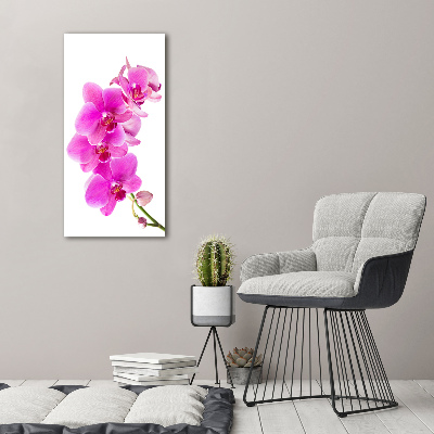 Quadro vetro verticale Orchidea rosa