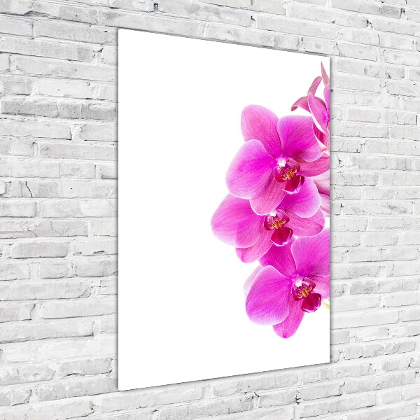 Quadro vetro verticale Orchidea rosa