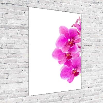 Quadro vetro verticale Orchidea rosa