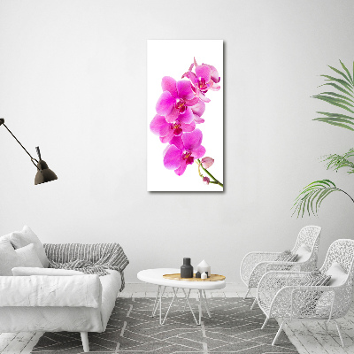 Quadro vetro verticale Orchidea rosa