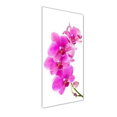 Quadro vetro verticale Orchidea rosa