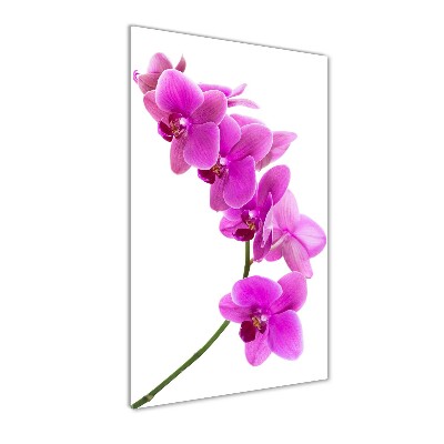 Quadro in vetro verticale Orchidea rosa