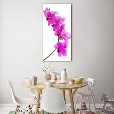 Quadro in vetro verticale Orchidea rosa
