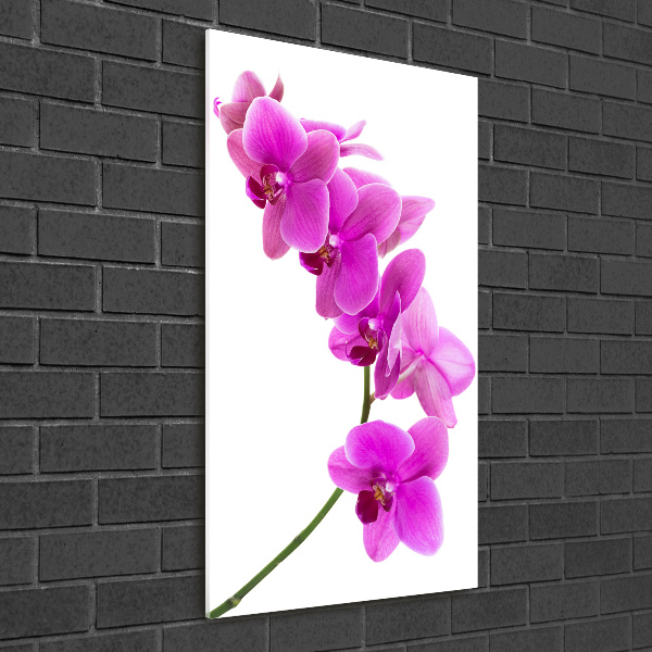 Quadro in vetro verticale Orchidea rosa