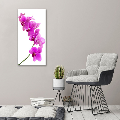 Quadro in vetro verticale Orchidea rosa