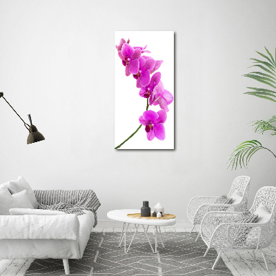 Quadro in vetro verticale Orchidea rosa
