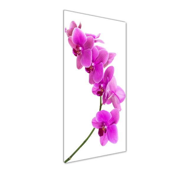 Quadro in vetro verticale Orchidea rosa
