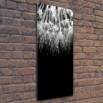 Quadro di vetro verticale Semi di tarassaco