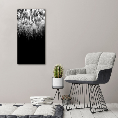 Quadro di vetro verticale Semi di tarassaco