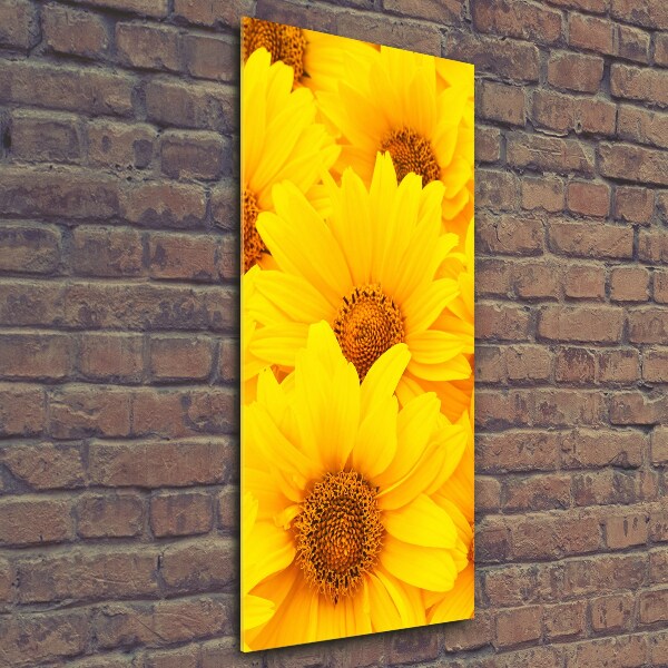 Quadro vetro verticale Girasoli