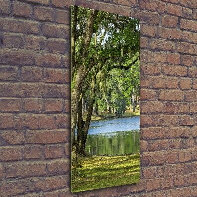 Quadro stampa su vetro verticale Lago nel parco