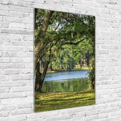 Quadro stampa su vetro verticale Lago nel parco