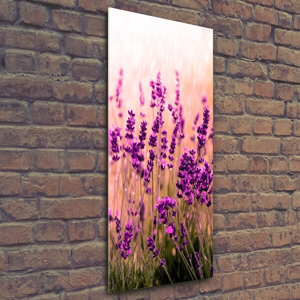 Quadro in vetro verticale Campo di lavanda