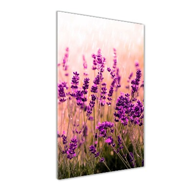 Quadro in vetro verticale Campo di lavanda