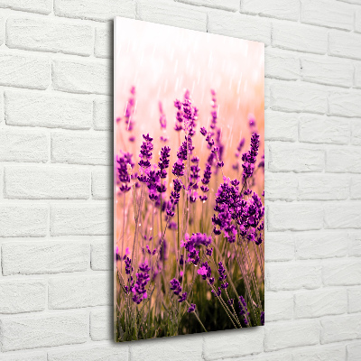 Quadro in vetro verticale Campo di lavanda