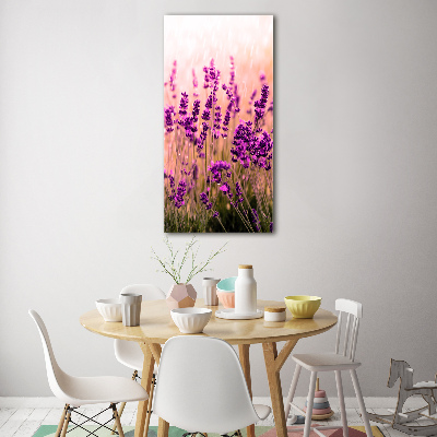 Quadro in vetro verticale Campo di lavanda