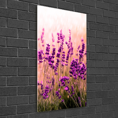 Quadro in vetro verticale Campo di lavanda