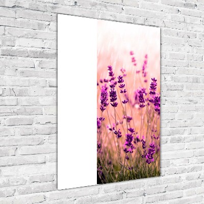 Quadro in vetro verticale Campo di lavanda