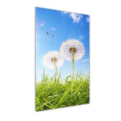 Quadro di vetro verticale Denti di leone nel prato