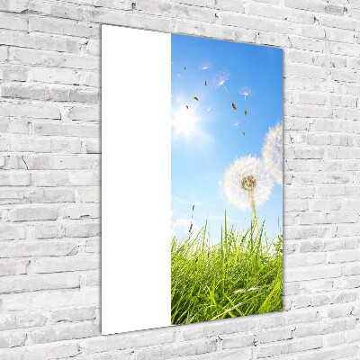 Quadro di vetro verticale Denti di leone nel prato