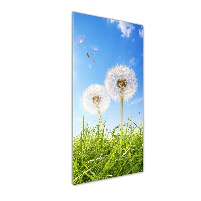 Quadro di vetro verticale Denti di leone nel prato