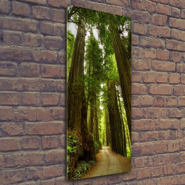 Quadro di vetro verticale Sentiero nella foresta