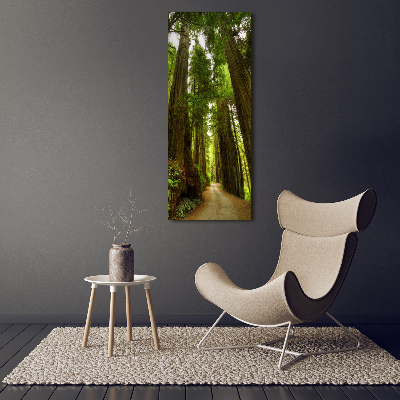 Quadro di vetro verticale Sentiero nella foresta