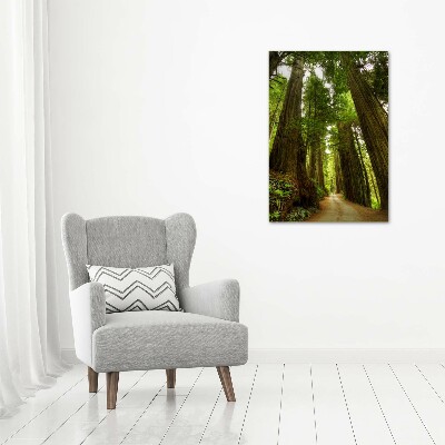 Quadro di vetro verticale Sentiero nella foresta