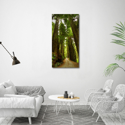 Quadro di vetro verticale Sentiero nella foresta