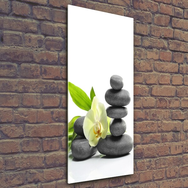 Quadro vetro verticale Orchidea e pietre