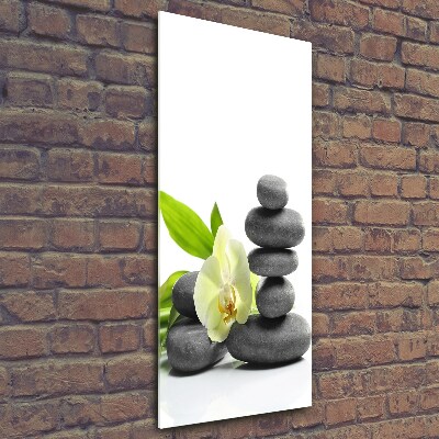 Quadro vetro verticale Orchidea e pietre