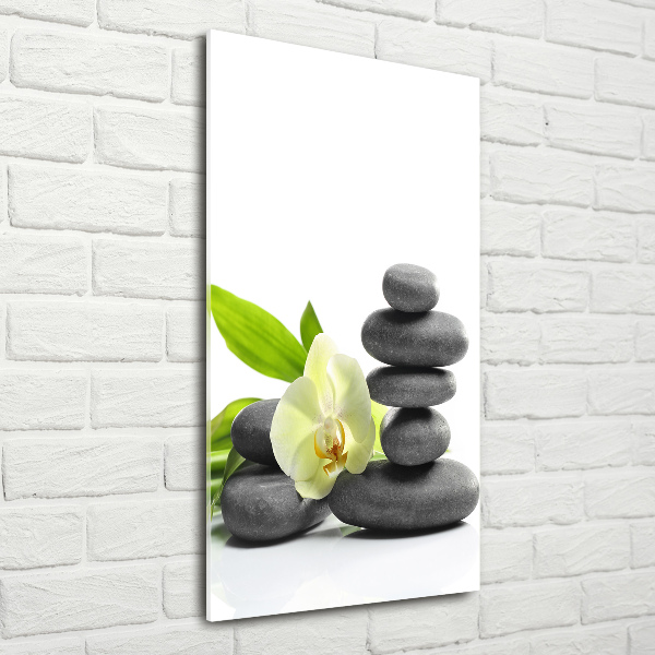 Quadro vetro verticale Orchidea e pietre