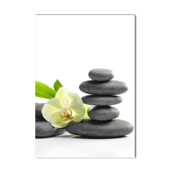 Quadro vetro verticale Orchidea e pietre