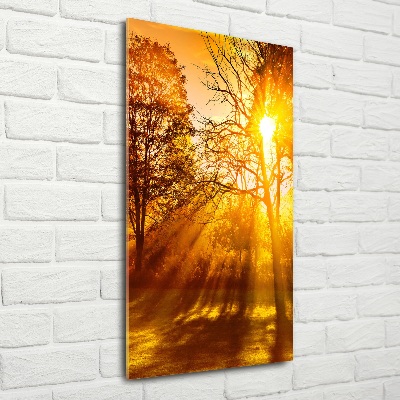 Quadro vetro verticale Parco in autunno