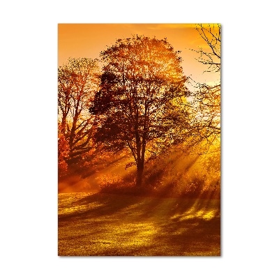 Quadro vetro verticale Parco in autunno